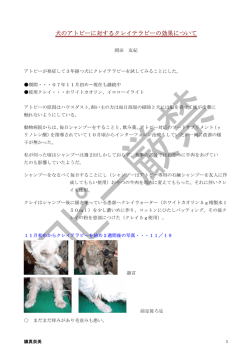 犬のアトピーに対するクレイテラピーの効果について