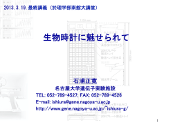 生物時計に魅せられて - 名古屋大学 遺伝子実験施設
