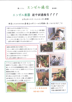 NO.4 番外編② - エンゼル動物病院