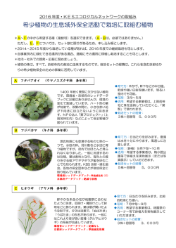 稀少植物の生息域外保全に取り組む植物