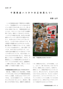 千葉県産ハツタケの正体見たり！