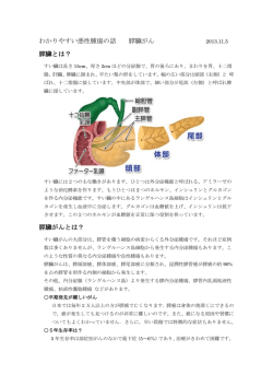 わかりやすい悪性腫瘍の話 膵臓がん 膵臓とは？ 膵臓がんとは？