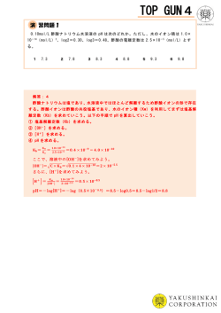 TOP GUN4 問題と解答