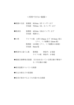 ＜所持できない銃器＞