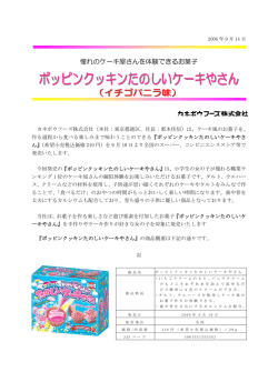 憧れのケーキ屋さんを体験できるお菓子