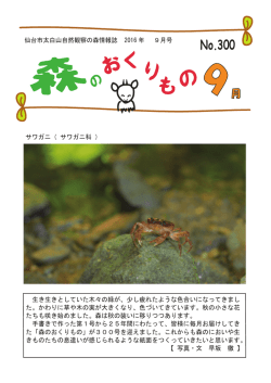森のおくりもの2016年9月号