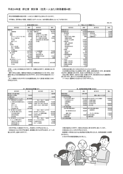 平成24年度 伊江家 家計簿 （住民一人当たり財務書類4表）