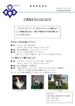 11月のイベントについて
