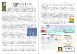 竹屋陶板浴だより 2010.2.1