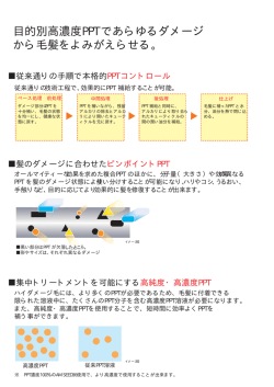 目的別高濃度PPTであらゆるダメージ から毛髪をよみがえらせる。
