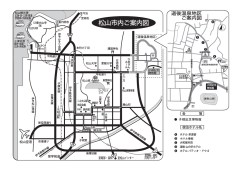 196 33 56 11 ホテル椿館