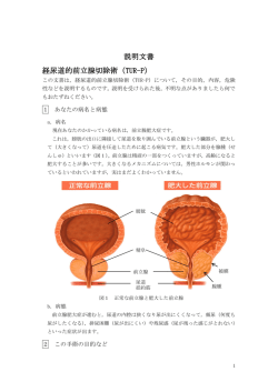 説明文書 経尿道的前立腺切除術（TUR-P）