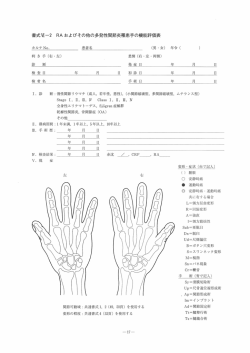 書式W一2 RAおよびその他の多発性関節炎罹患手の機能評価表