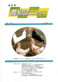 12号 （1988年1月）