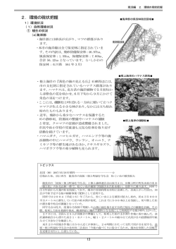 現況編（PDF:1164KB）