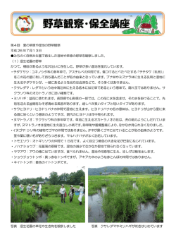 第4回 夏の草原や湿地の野草観察 平成 26 年7月13日 みちのく自然