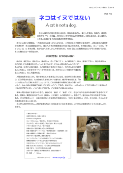 ネコはイヌではない