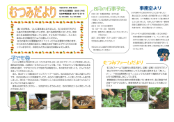 むつみだよりH28.8
