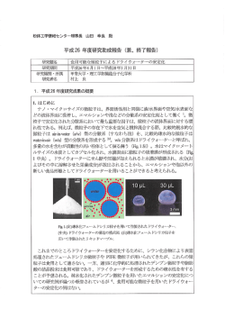 終了報告書 - 粉体工学情報センター