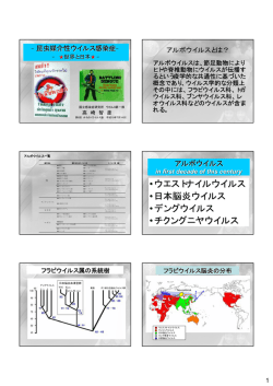 PDF、snh - 国立病院機構 仙台医療センター