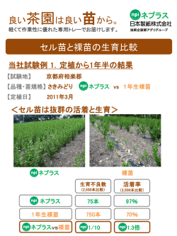 比較試験データ
