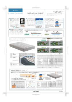 SFF-NSXマットレス