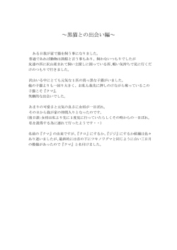 ～黒猫との出会い編～