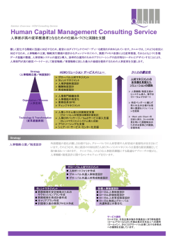 Human Capital Management Consulting Service