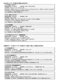 おすすめオプショナルツアー一覧はこちら