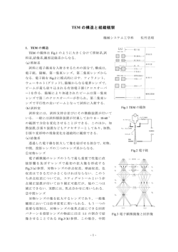 の構造と組織観察 TEM