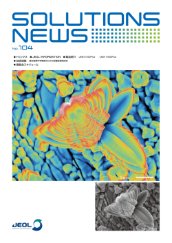 SOLUTIONS NEWS No.104