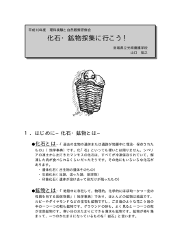 化石・鉱物採集に行こう！（PDF,285KB）