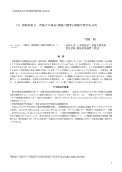 101. 神経細胞の一次線毛の構造と機能に関する細胞生物学的研究 竹田