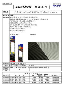 ELS(ｴﾙｽ)・フレックスリアルソフトカーボンシート 商 品 案 内