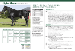 母の父ローソサエティのベスト配合。 - Thoroughbred Breeders Club