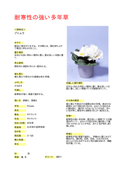 耐寒性の強い多年草 -  へ
