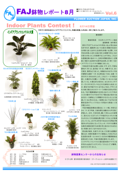 FAJ鉢物レポート8月 Indoor Plants Contest ! 6月14日開催