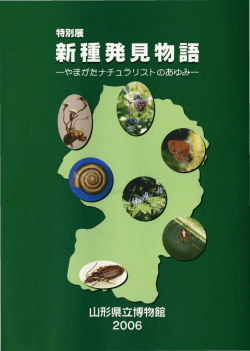 Untitled - 山形県立博物館