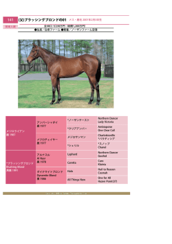 カタログ（65KB） - サンデーサラブレッドクラブ