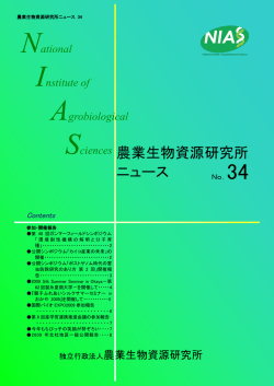 (平成21年11月)〔PDF〕