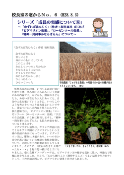 校長室の窓からNo．6（H28.8.3） シリーズ「成長の実感について⑥」
