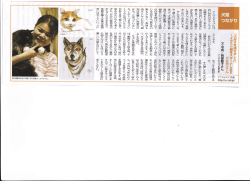 ア】 ] マルクラブには、 若い世代のボラン一ァイア 土へ願者もよく来ます