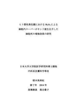 閲覧/開く - 日本大学リポジトリ