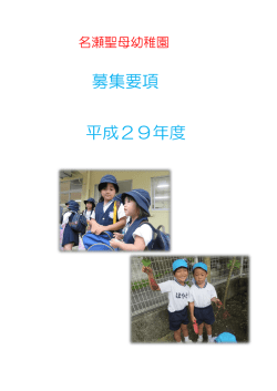 募集要項 平成29年度