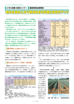 地中点滴かん水で根深ねぎの収量と所得がアップ（グリーンレポートNo