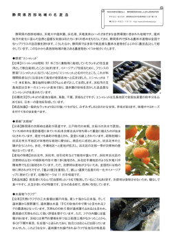 （平成26年3月）（PDF形式）