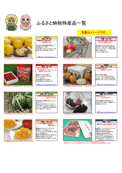 ふるさと納税特産品一覧