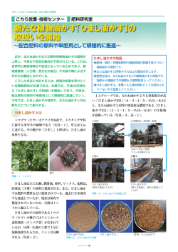 新たな植物油かす「ひまし油かす」の 取扱いを開始
