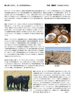 象と赤いウガリ、どっちが大切やねん！ 作者：綱渡男（つなわたりだん）