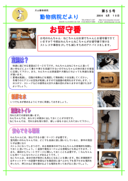 お留守番